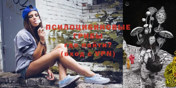 ПСИЛОЦИБИНОВЫЕ ГРИБЫ Абинск