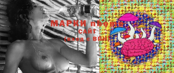 ПСИЛОЦИБИНОВЫЕ ГРИБЫ Абинск