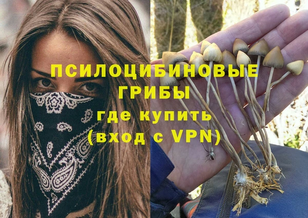 герыч Абаза