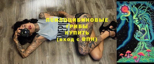ПСИЛОЦИБИНОВЫЕ ГРИБЫ Абинск