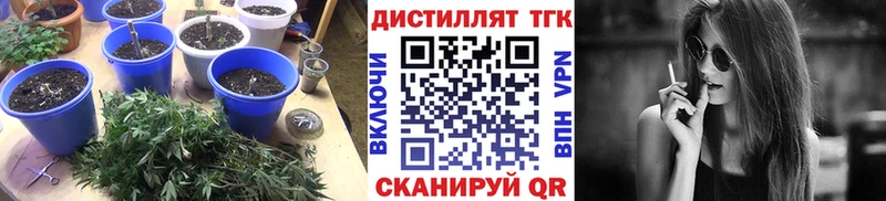 где продают наркотики Тихорецк Дистиллят ТГК жижа